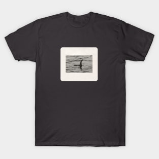 Swimming With Nessie T-Shirt